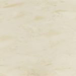BL-251 CAMEO