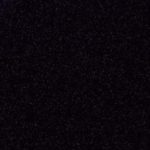 G047 BLACK BIRD