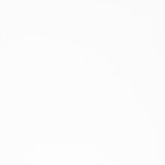 S-008 N-WHITE