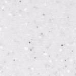 T-050 ICE QUEEN