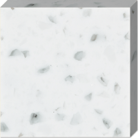 Tristone TS-101
